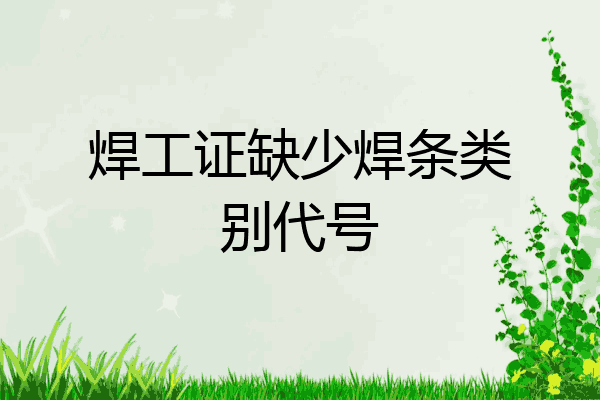 焊工证缺少焊条类别代号