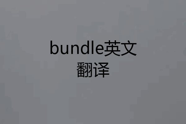 bundle英文翻译
