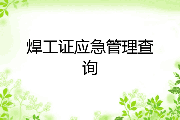 焊工证应急管理查询