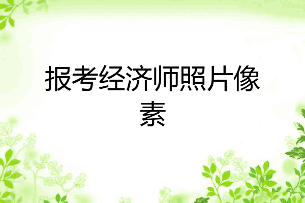 报考经济师照片像素