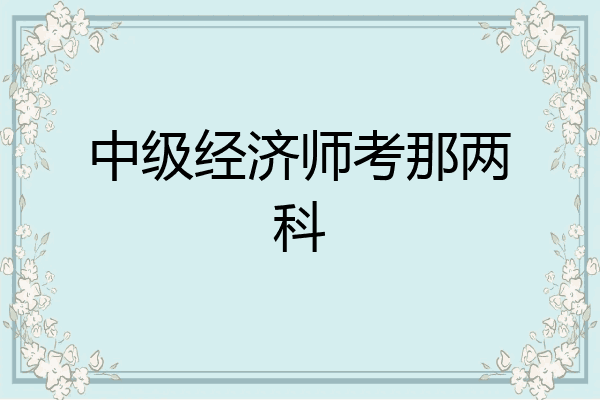 中级经济师考那两科