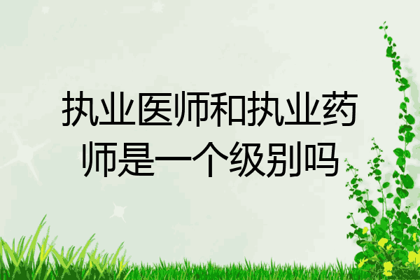 执业医师和执业药师是一个级别吗
