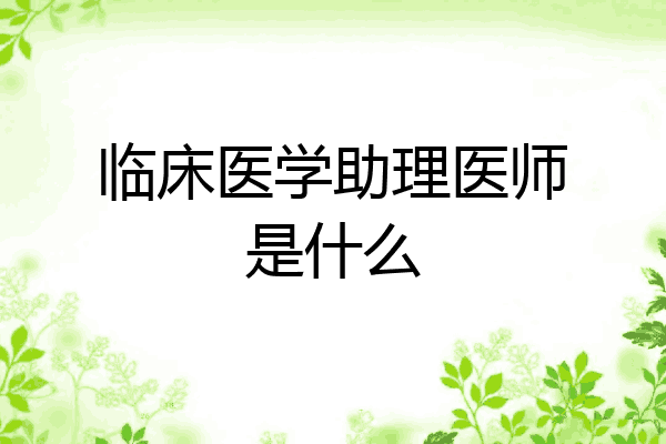 临床医学助理医师是什么