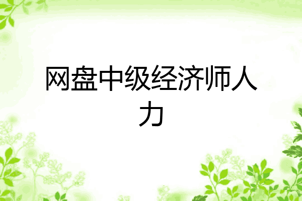 网盘中级经济师人力