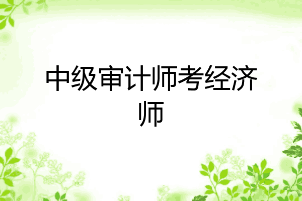 中级审计师考经济师