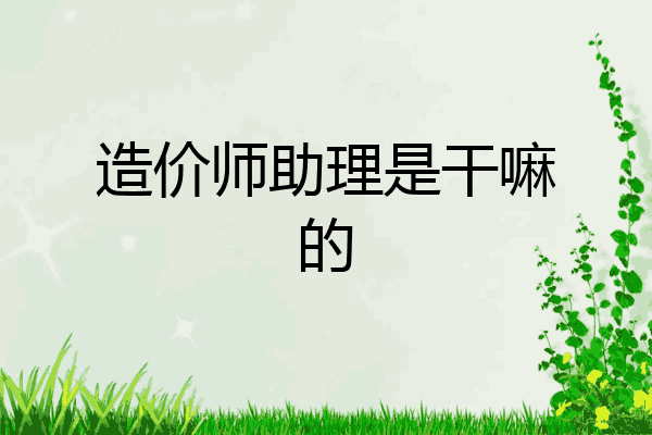 造价师助理是干嘛的