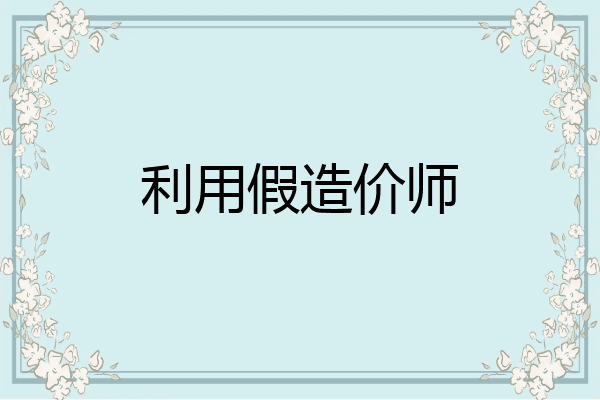 利用假造价师