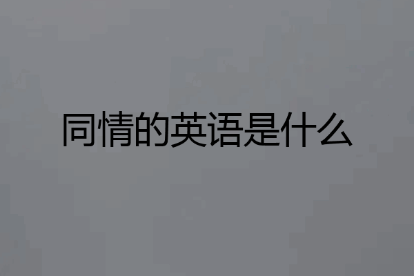 同情的英语是什么