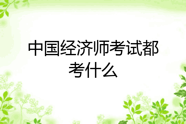 中国经济师考试都考什么