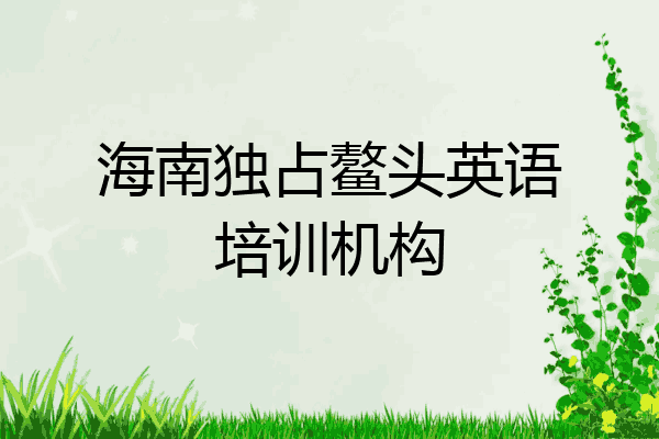 海南独占鳌头英语培训机构