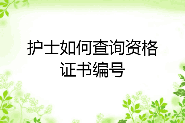 护士如何查询资格证书编号