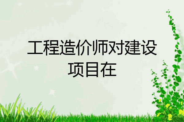工程造价师对建设项目在