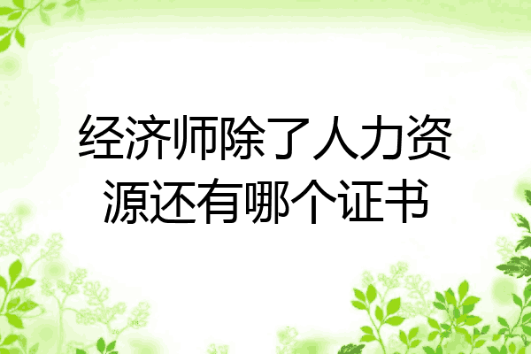 经济师除了人力资源还有哪个证书