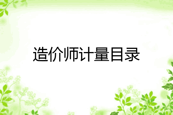 造价师计量目录