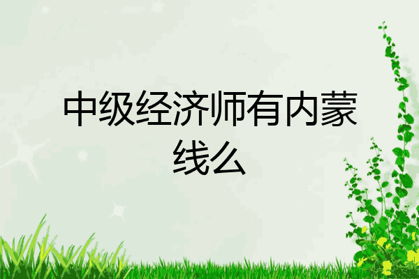 中级经济师有内蒙线么
