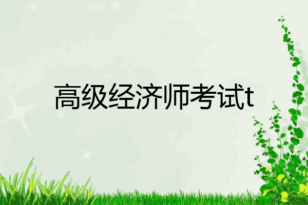 高级经济师考试t
