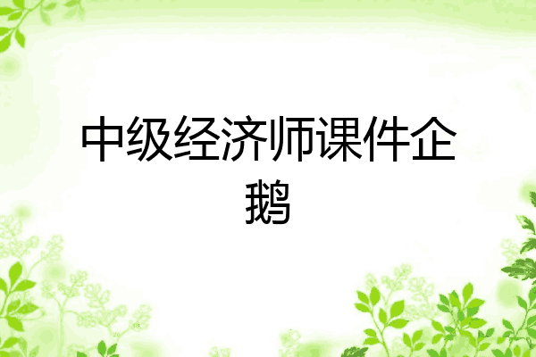 中级经济师课件企鹅
