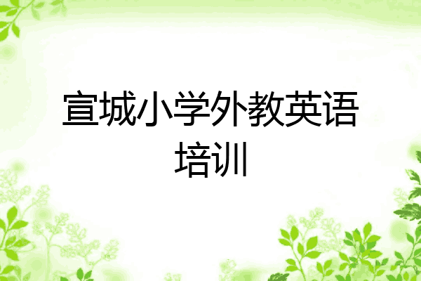 宣城小学外教英语培训