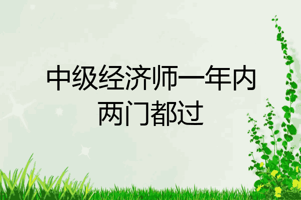 中级经济师一年内两门都过