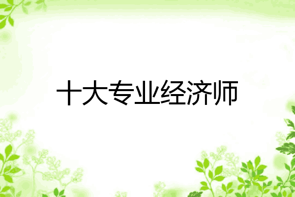 十大专业经济师