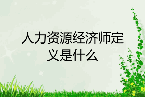 人力资源经济师定义是什么