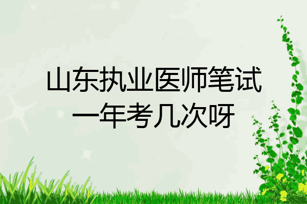 山东执业医师笔试一年考几次呀