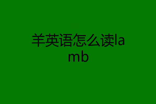 羊英语怎么读lamb
