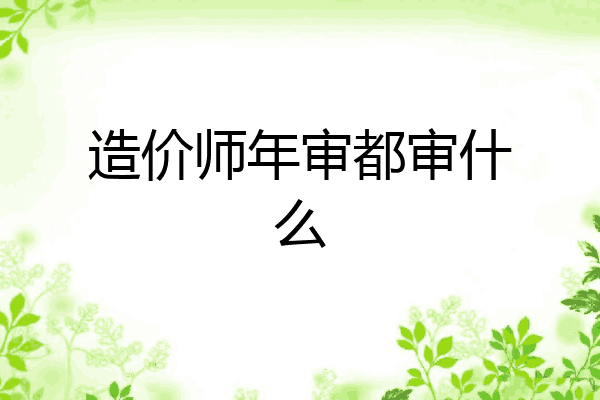 造价师年审都审什么