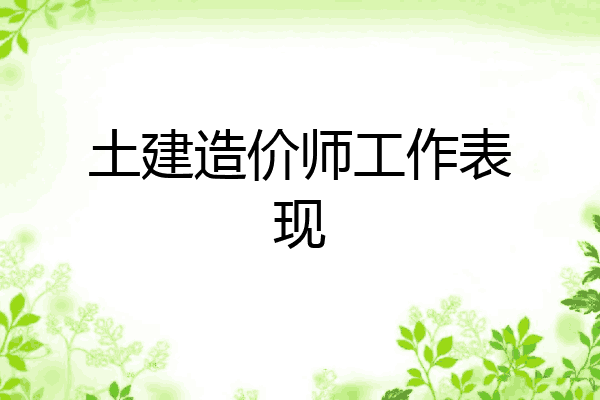 土建造价师工作表现