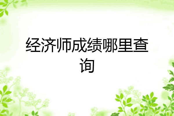经济师成绩哪里查询