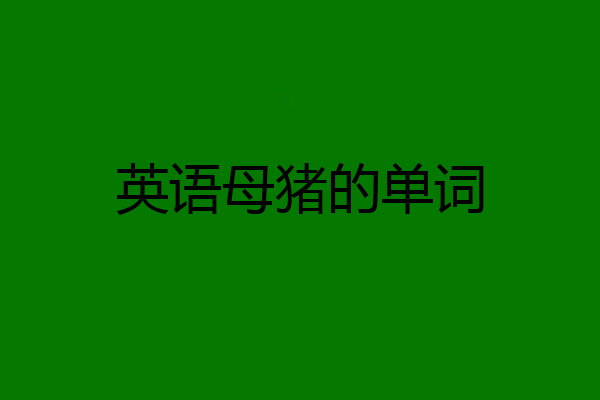 英语母猪的单词