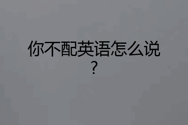 你不配英语怎么说?