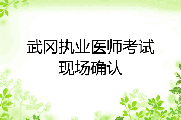 武冈执业医师考试现场确认