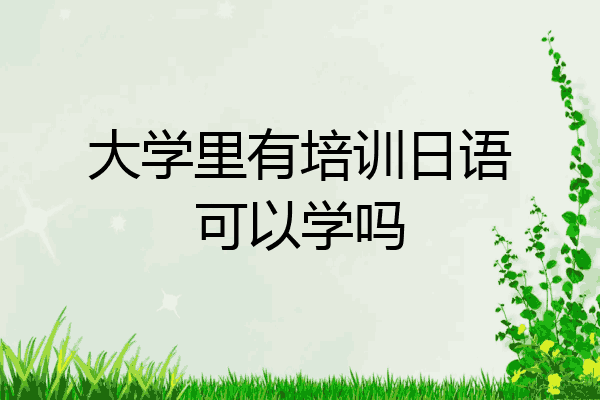 大学里有培训日语可以学吗