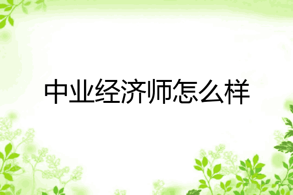 中业经济师怎么样