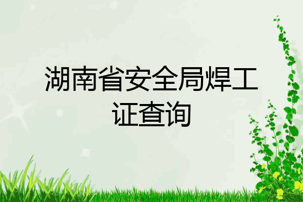 湖南省安全局焊工证查询