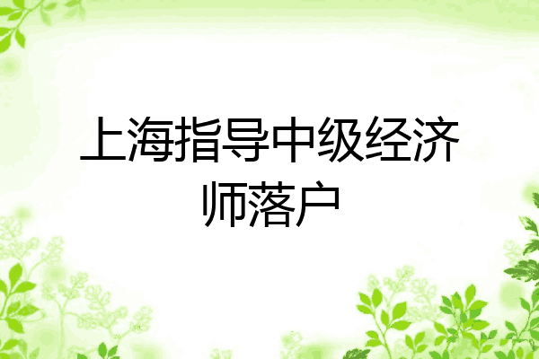 上海指导中级经济师落户