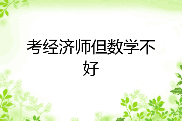 考经济师但数学不好