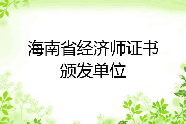 海南省经济师证书颁发单位
