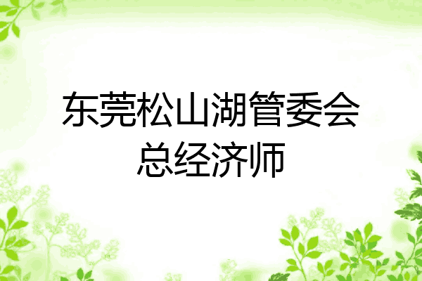 东莞松山湖管委会总经济师