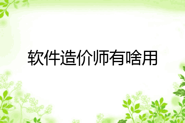 软件造价师有啥用