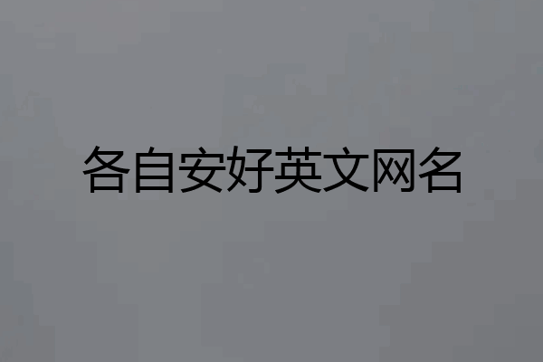 各自安好英文网名