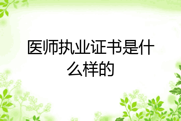 医师执业证书是什么样的
