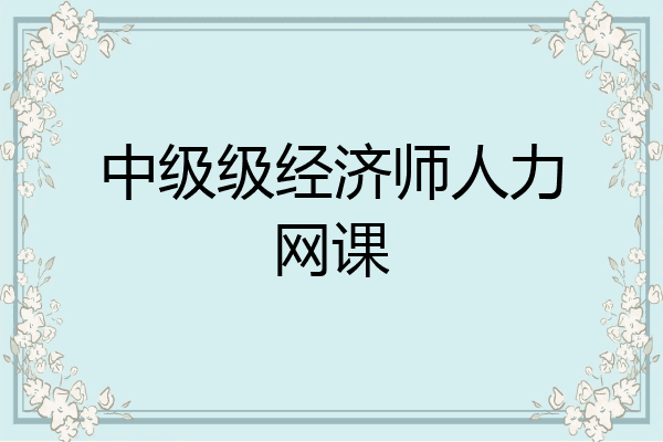 中级级经济师人力网课