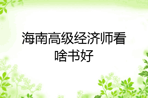 海南高级经济师看啥书好