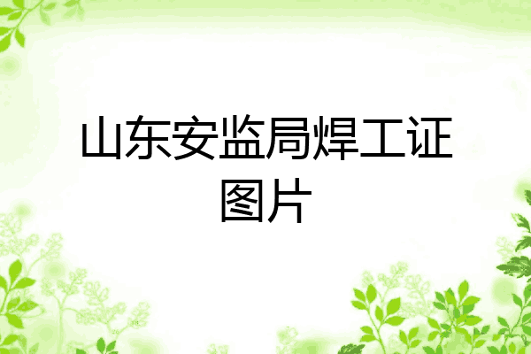 山东安监局焊工证图片