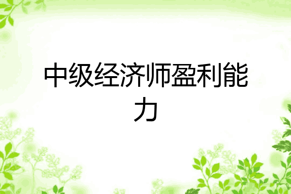 中级经济师盈利能力
