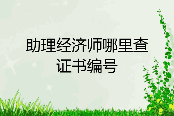 助理经济师哪里查证书编号