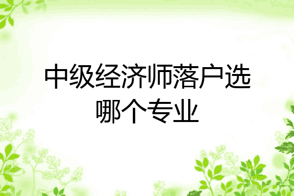 中级经济师落户选哪个专业