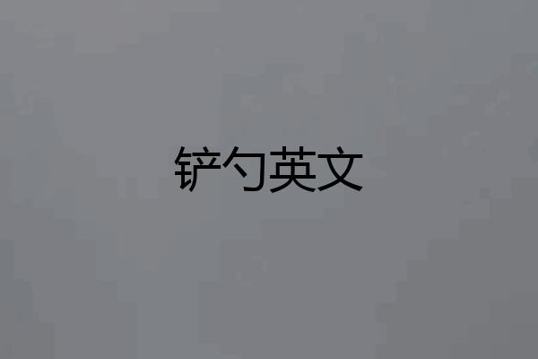 铲勺英文